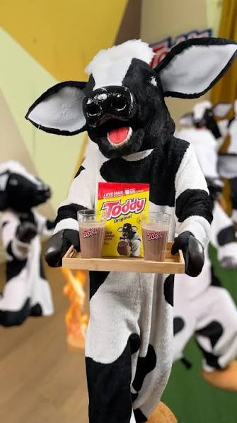 toddy